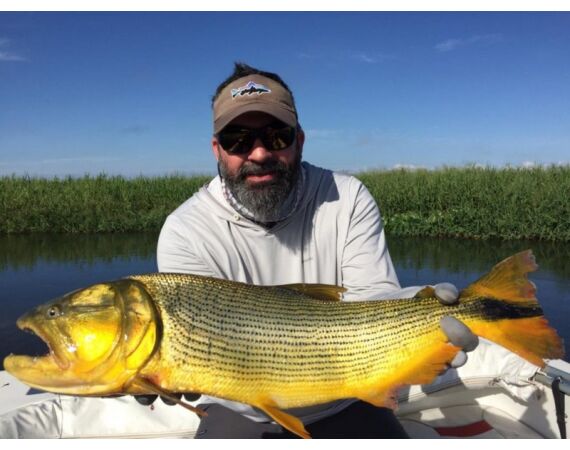 Argentinie, Golden Dorado