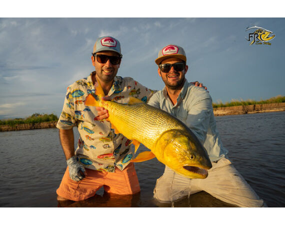Argentinie, Golden Dorado