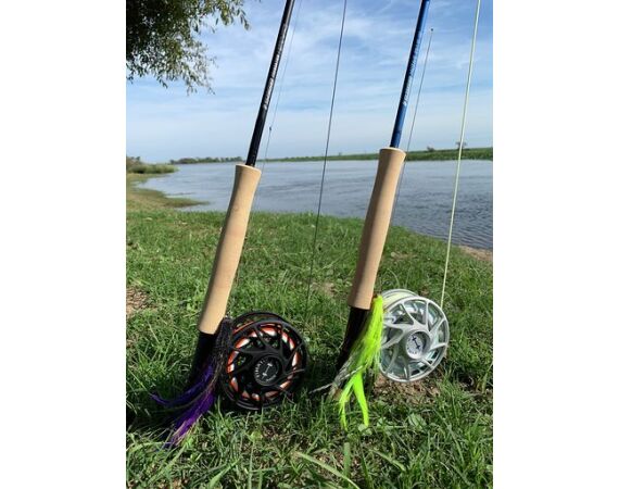 Argentinie, Golden Dorado