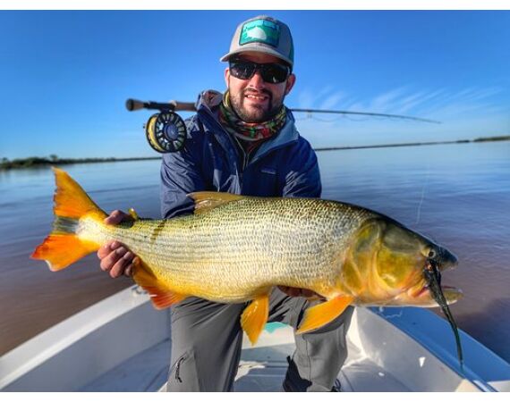 Argentinie, Golden Dorado