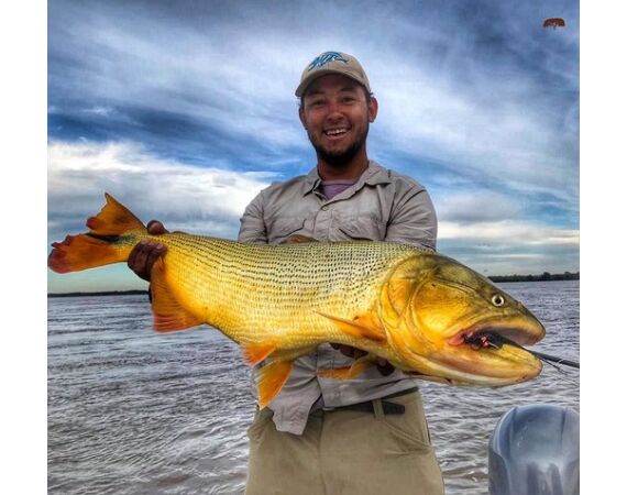 Argentinie, Golden Dorado