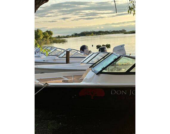 Argentinie, Golden Dorado