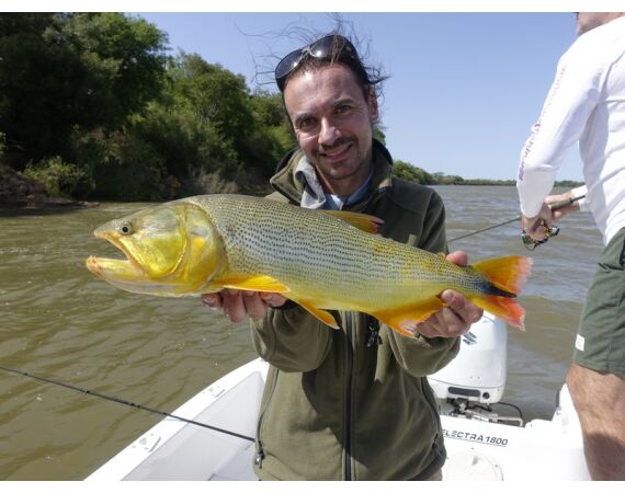 Argentinie, Golden Dorado
