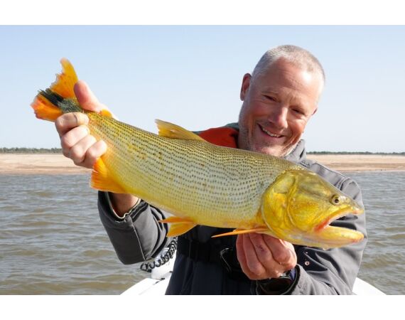 Argentinie, Golden Dorado