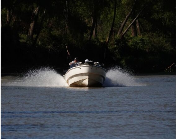Argentinie, Golden Dorado