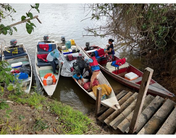 Amazone Guyana okt 2026