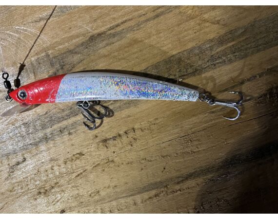 Amazone Guyana okt 2026