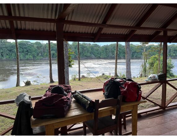 Amazone Guyana okt 2026