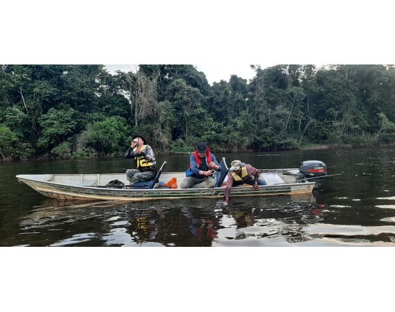 Amazone Guyana okt 2026