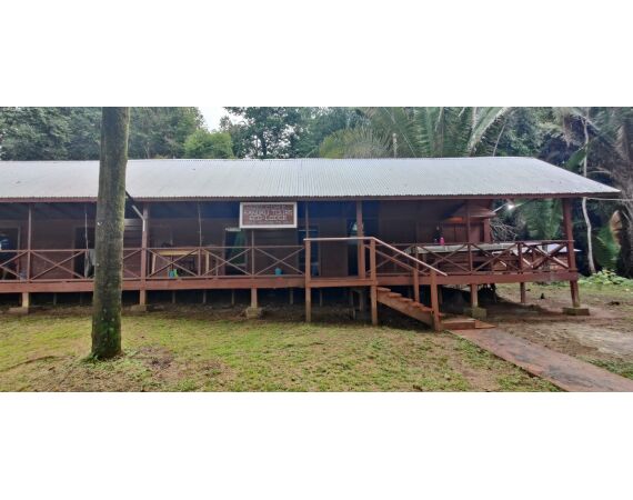 Amazone Guyana okt 2026