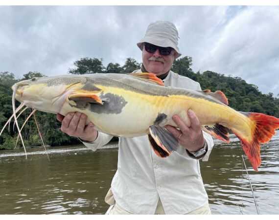 Amazone Guyana okt 2026