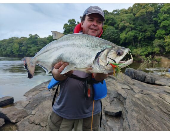 Amazone Guyana okt 2026