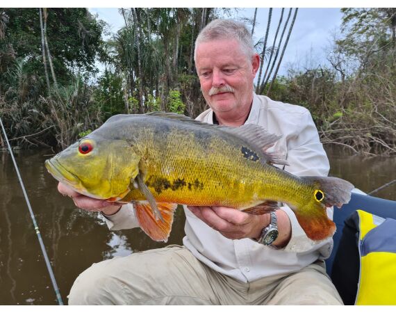 Amazone Guyana okt 2026