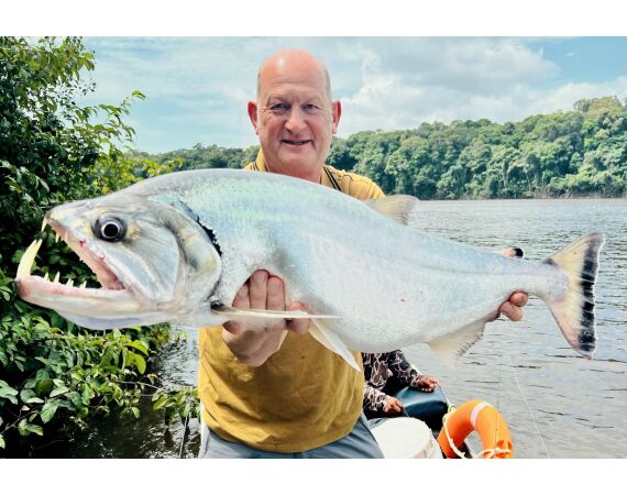 Amazone Guyana okt 2026