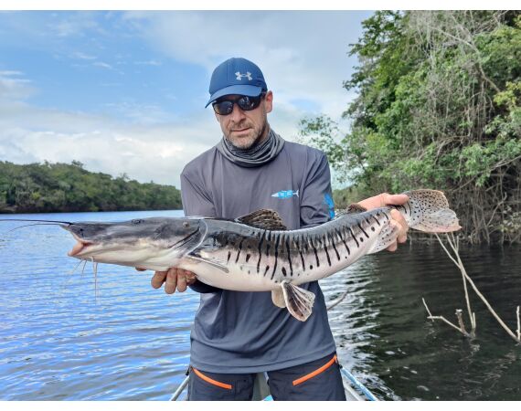 Amazone Guyana okt 2026