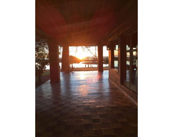 Argentinie, Golden Dorado okt 2026