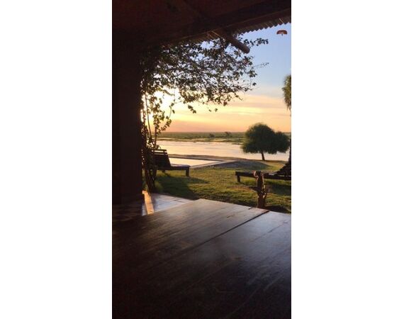 Argentinie, Golden Dorado okt 2026