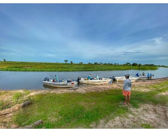 Argentinie, Golden Dorado okt 2026