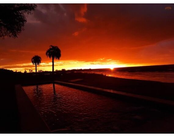 Argentinie, Golden Dorado okt 2026