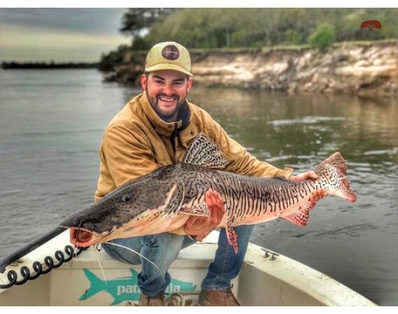 Argentinie, Golden Dorado okt 2026
