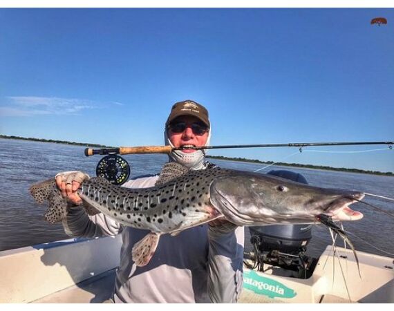 Argentinie, Golden Dorado okt 2026