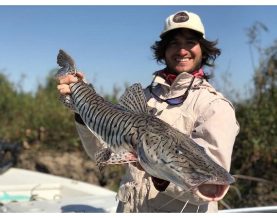 Argentinie, Golden Dorado okt 2026