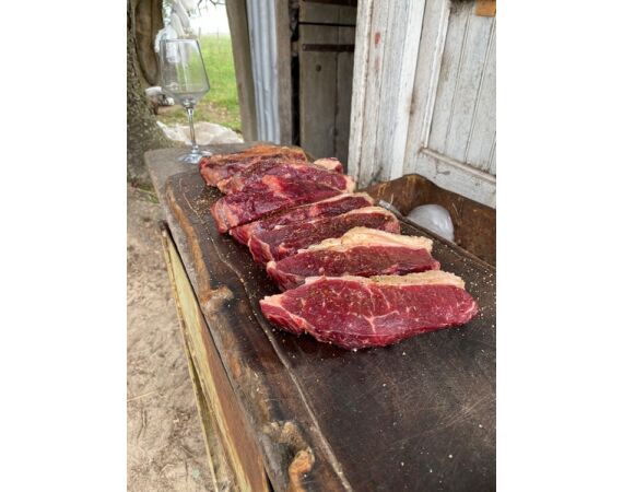 Argentinie, Golden Dorado okt 2026