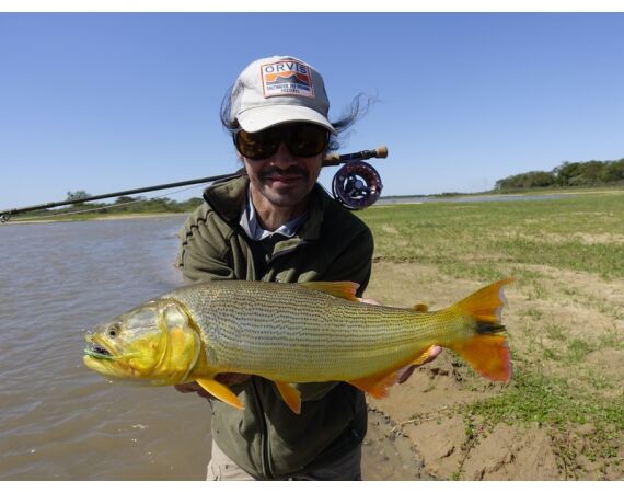 Argentinie, Golden Dorado okt 2026