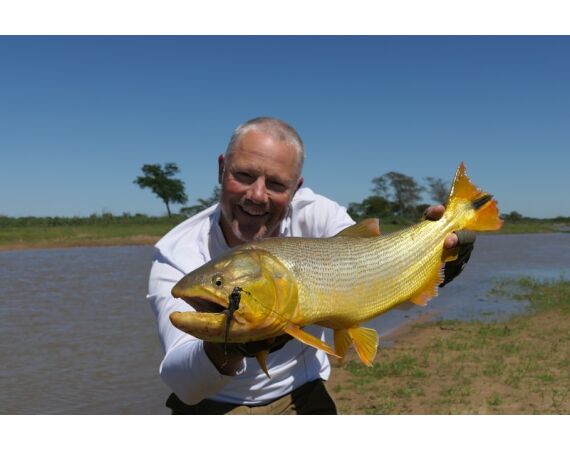 Argentinie, Golden Dorado okt 2026