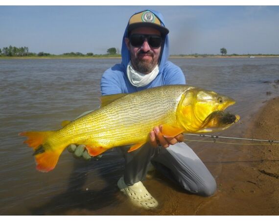 Argentinie, Golden Dorado okt 2026