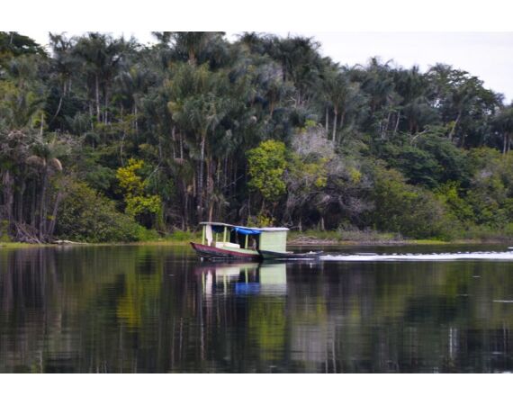 Peacock Bass Houseboat feb 27