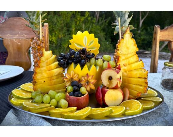 Peacock Bass Houseboat feb 27