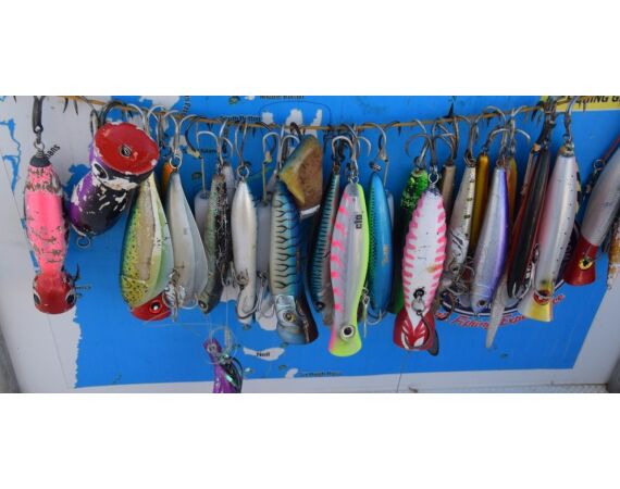 Pop & jig in Andaman feb 27