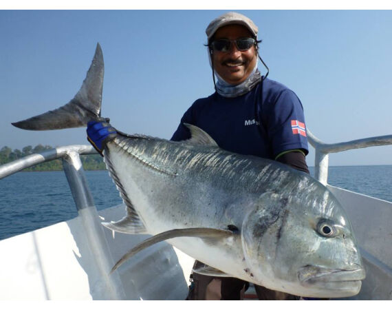 Pop & jig in Andaman feb 27