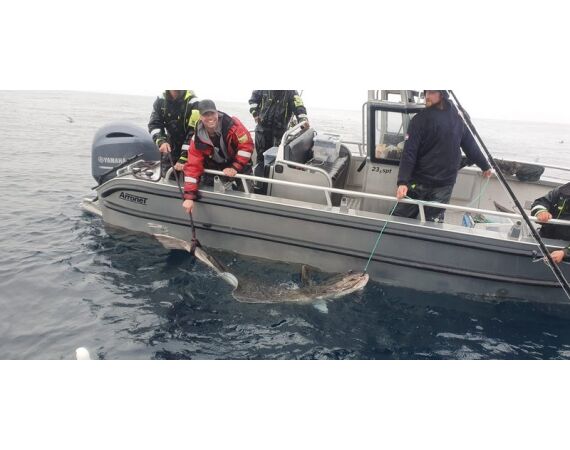 Nipro Noorwegen Festival mei 2026