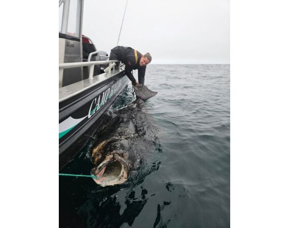 Nipro Noorwegen Festival mei 2026