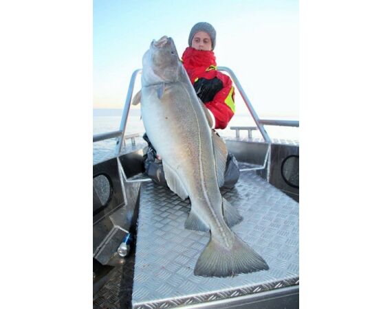 Nipro Noorwegen Festival mei 2026