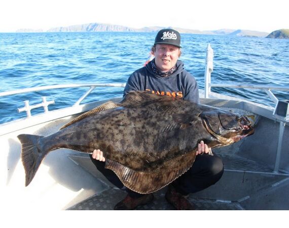 Nipro Noorwegen Festival mei 2026