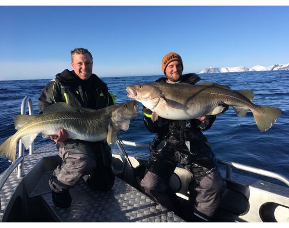 Nipro Noorwegen Festival mei 2026