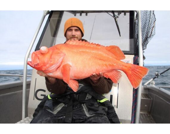 Nipro Noorwegen Festival mei 2026