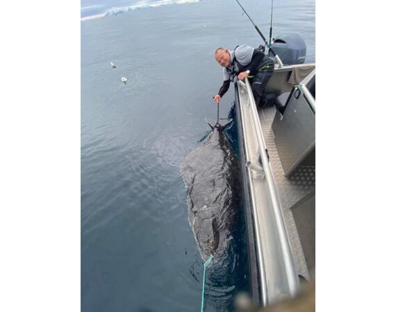 Savage Gear Heilbot festival sep 26