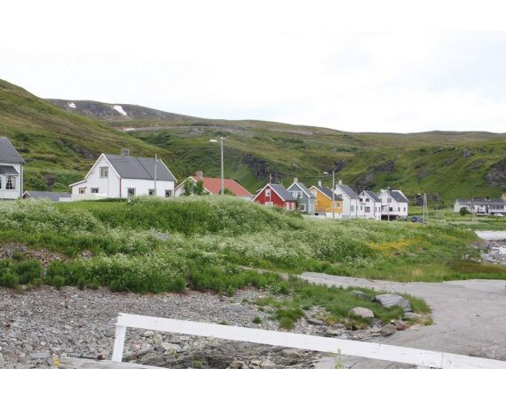 Savage Gear Heilbot festival sep 26