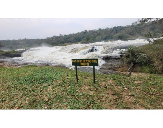 Nile Perch Uganda mar 26