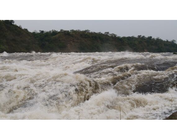 Nile Perch Uganda mar 26