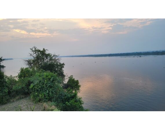 Nile Perch Uganda mar 26