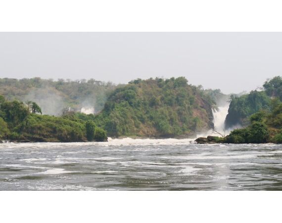 Nile Perch Uganda mar 26