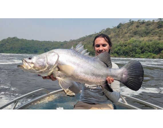 Nile Perch Uganda mar 26