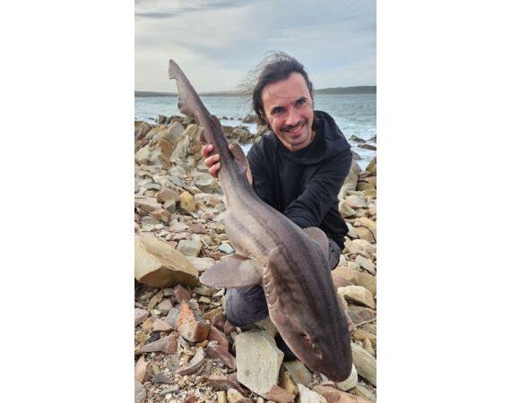 Zuid Afrika Mosselbaai nov 2026