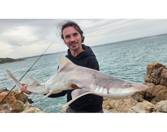 Zuid Afrika Mosselbaai nov 2026