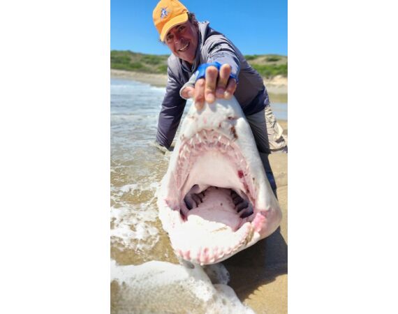 Zuid Afrika Mosselbaai nov 2026